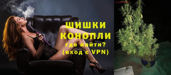 сатива Богородицк
