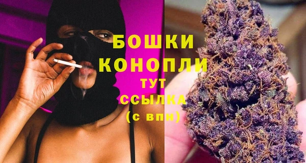 сатива Богородицк