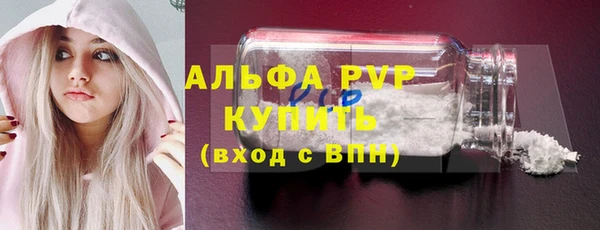 сатива Богородицк