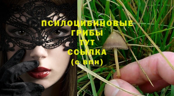 сатива Богородицк