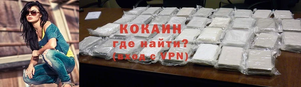 сатива Богородицк