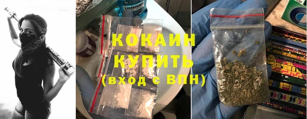 сатива Богородицк