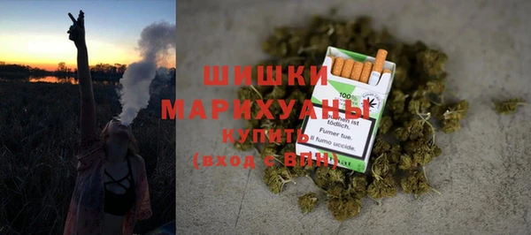 сатива Богородицк